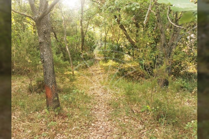 Poljoprivredno zemljište, Prodaja, Marčana, Peruški Poljoprivredno zemljište, Prodaja, Marčana, Peruški