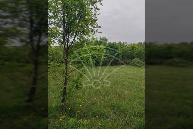 Građevinsko zemljište, Prodaja, Marčana, Rakalj Građevinsko zemljište, Prodaja, Marčana, Rakalj