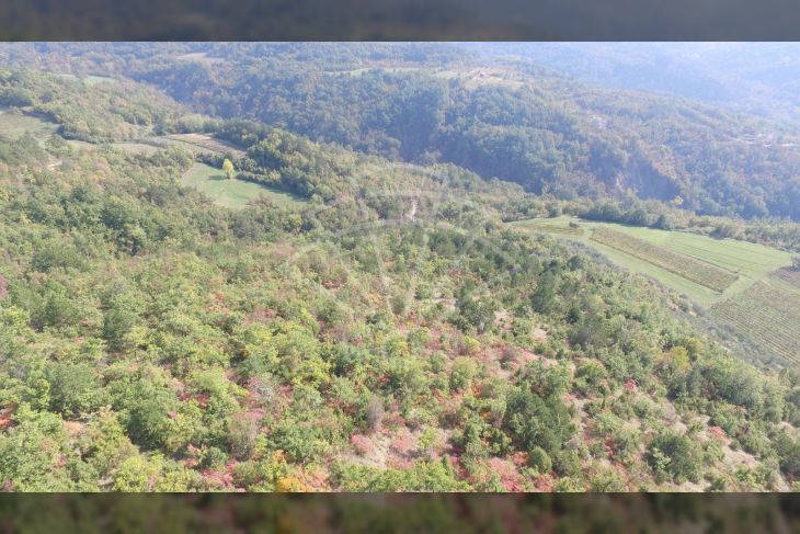 Poljoprivredno zemljište, Prodaja, Cerovlje, Draguć Poljoprivredno zemljište, Prodaja, Cerovlje, Draguć