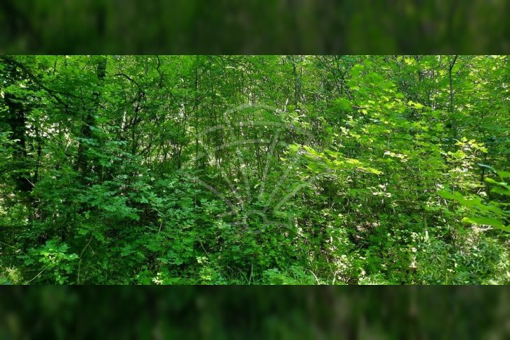Građevinsko zemljište, Prodaja, Kostrena, Vrh Martinšćice Građevinsko zemljište, Prodaja, Kostrena, Vrh Martinšćice