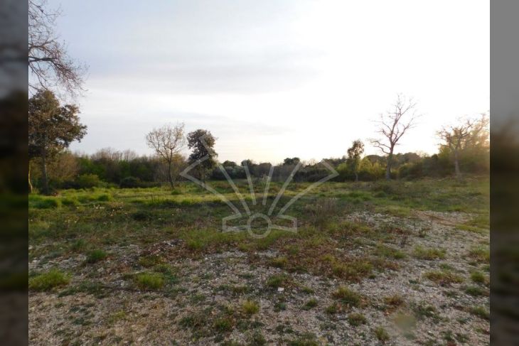 Poljoprivredno zemljište, Prodaja, Pula, Pula Poljoprivredno zemljište, Prodaja, Pula, Pula