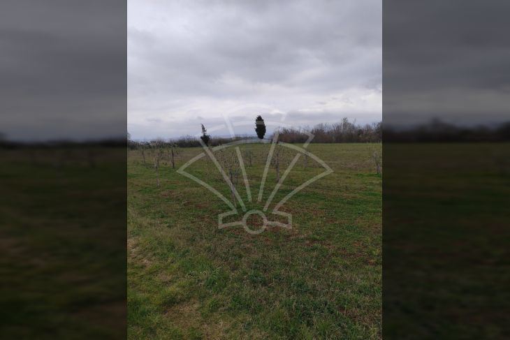 Poljoprivredno zemljište, Prodaja, Barban, Barban Poljoprivredno zemljište, Prodaja, Barban, Barban
