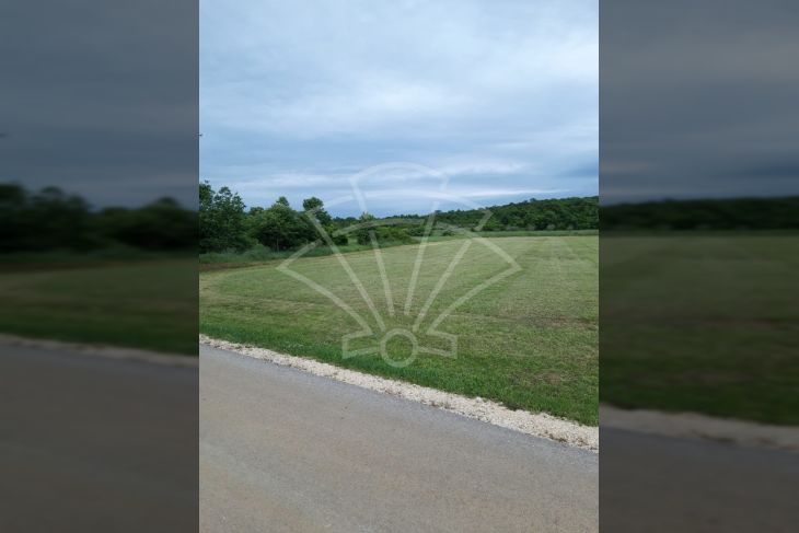 Poljoprivredno zemljište, Prodaja, Poreč, Mušalež Poljoprivredno zemljište, Prodaja, Poreč, Mušalež