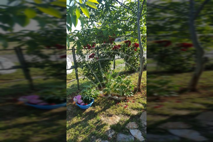 Poljoprivredno zemljište, Prodaja, Fažana, Fažana Poljoprivredno zemljište, Prodaja, Fažana, Fažana