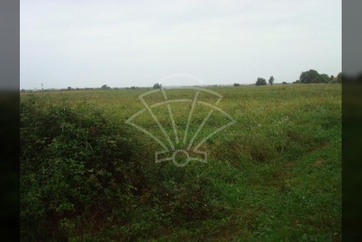Poljoprivredno zemljište, Prodaja, Brtonigla, Brtonigla Poljoprivredno zemljište, Prodaja, Brtonigla, Brtonigla