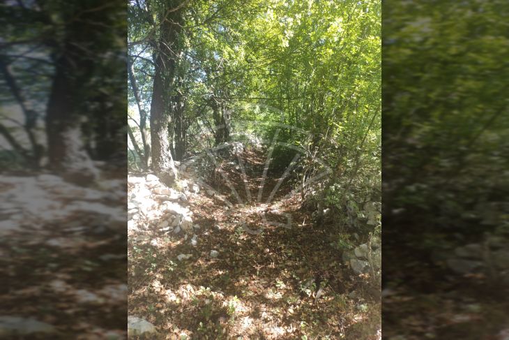 Poljoprivredno zemljište, Prodaja, Vodnjan, Vodnjan Poljoprivredno zemljište, Prodaja, Vodnjan, Vodnjan