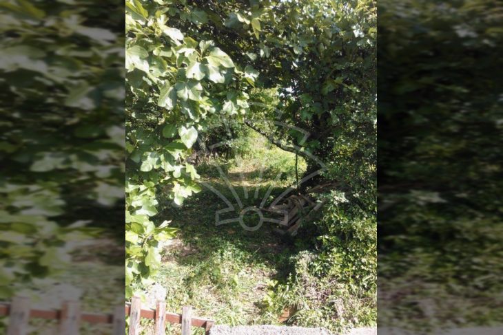 Građevinsko zemljište, Prodaja, Vinodolska općina, Grižane-Belgrad Građevinsko zemljište, Prodaja, Vinodolska općina, Grižane-Belgrad