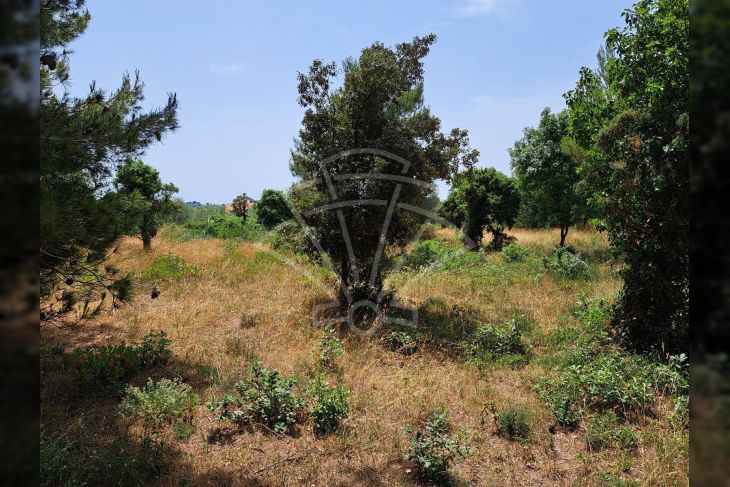 Građevinsko zemljište, Prodaja, Medulin, Medulin Građevinsko zemljište, Prodaja, Medulin, Medulin