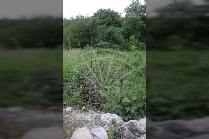 Građevinsko, Prodaja, Viškovo, Marčelji Građevinsko, Prodaja, Viškovo, Marčelji