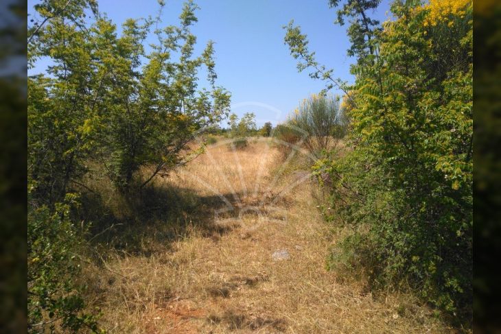 Samostojeća kuća, Prodaja, Vodnjan, Barbariga Samostojeća kuća, Prodaja, Vodnjan, Barbariga