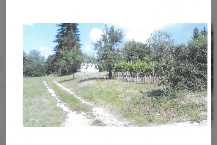 Građevinsko zemljište, Prodaja, Karojba, Karojba Građevinsko zemljište, Prodaja, Karojba, Karojba