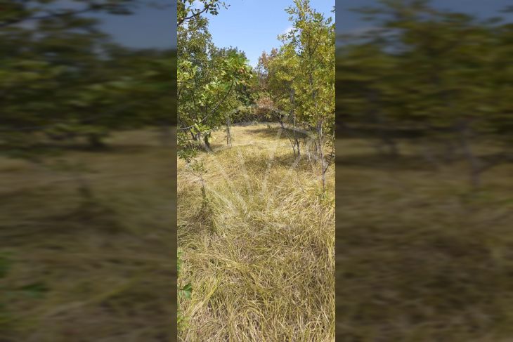 Građevinsko zemljište, Prodaja, Kostrena, Plešići Građevinsko zemljište, Prodaja, Kostrena, Plešići