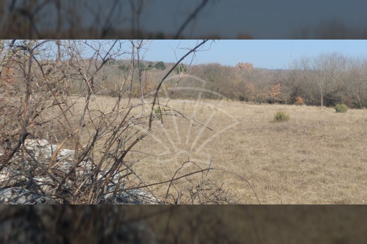 Poljoprivredno zemljište, Prodaja, Vodnjan, Vodnjan Poljoprivredno zemljište, Prodaja, Vodnjan, Vodnjan