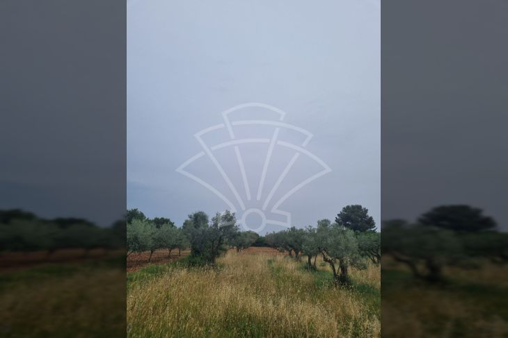 Građevinsko stambeno zemljište, Prodaja, Vodnjan, Galižana Građevinsko stambeno zemljište, Prodaja, Vodnjan, Galižana
