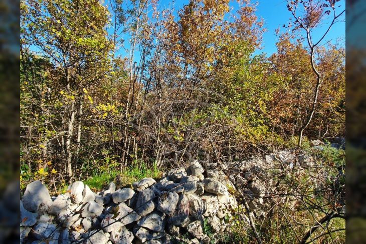 Građevinsko zemljište, Prodaja, Crikvenica, Jadranovo Građevinsko zemljište, Prodaja, Crikvenica, Jadranovo