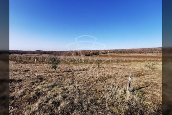 Zemljište - ostalo, Prodaja, Višnjan, Markovac Zemljište - ostalo, Prodaja, Višnjan, Markovac
