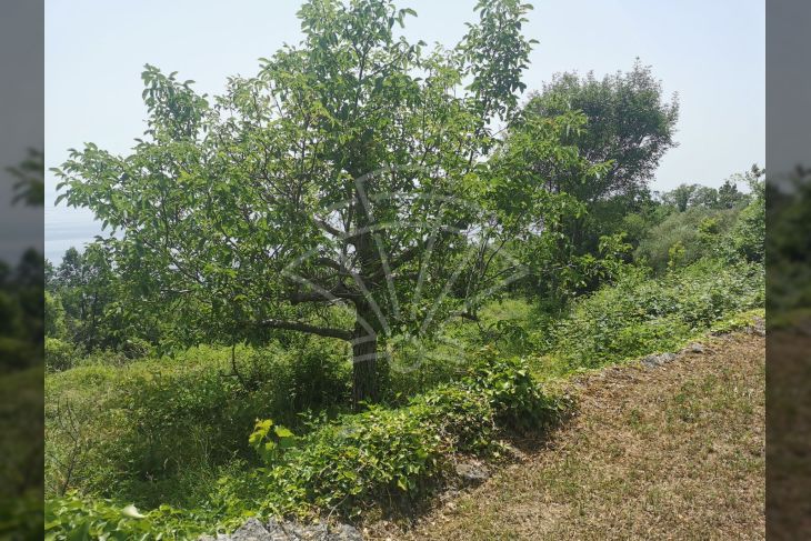 Građevinsko zemljište, Prodaja, Mošćenička draga, Sveti Anton Građevinsko zemljište, Prodaja, Mošćenička draga, Sveti Anton
