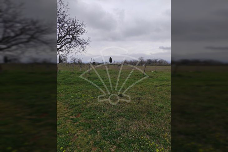 Poljoprivredno zemljište, Prodaja, Barban, Barban Poljoprivredno zemljište, Prodaja, Barban, Barban