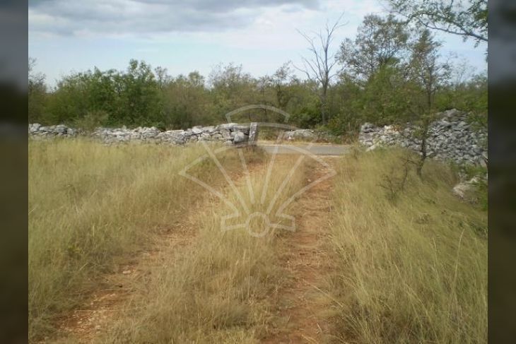Poljoprivredno zemljište, Prodaja, Svetvinčenat, Raponji Poljoprivredno zemljište, Prodaja, Svetvinčenat, Raponji