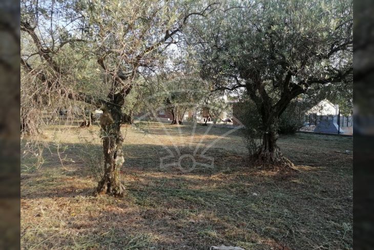 Građevinsko zemljište, Prodaja, Kaštelir-Labinci, Valentići Građevinsko zemljište, Prodaja, Kaštelir-Labinci, Valentići
