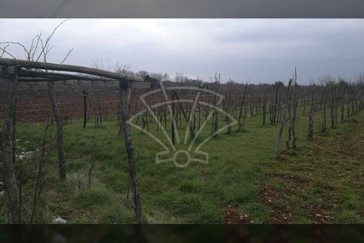 Poljoprivredno zemljište, Prodaja, Bale, Bale Poljoprivredno zemljište, Prodaja, Bale, Bale