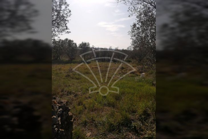 Poljoprivredno zemljište, Prodaja, Fažana, Fažana Poljoprivredno zemljište, Prodaja, Fažana, Fažana