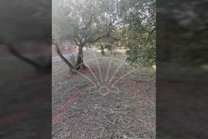 Građevinsko zemljište, Prodaja, Kaštelir-Labinci, Valentići Građevinsko zemljište, Prodaja, Kaštelir-Labinci, Valentići