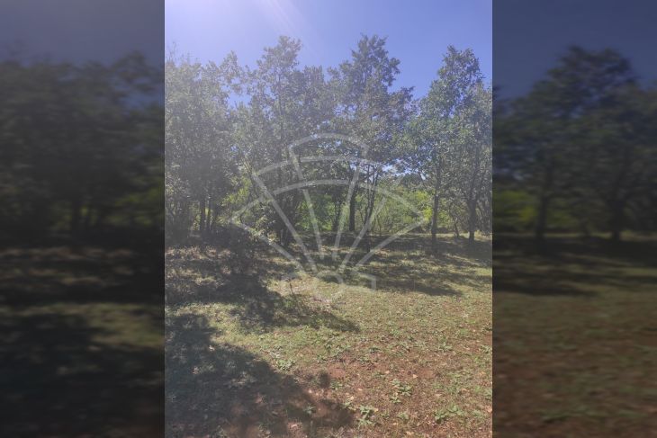 Poljoprivredno zemljište, Prodaja, Vodnjan, Vodnjan Poljoprivredno zemljište, Prodaja, Vodnjan, Vodnjan