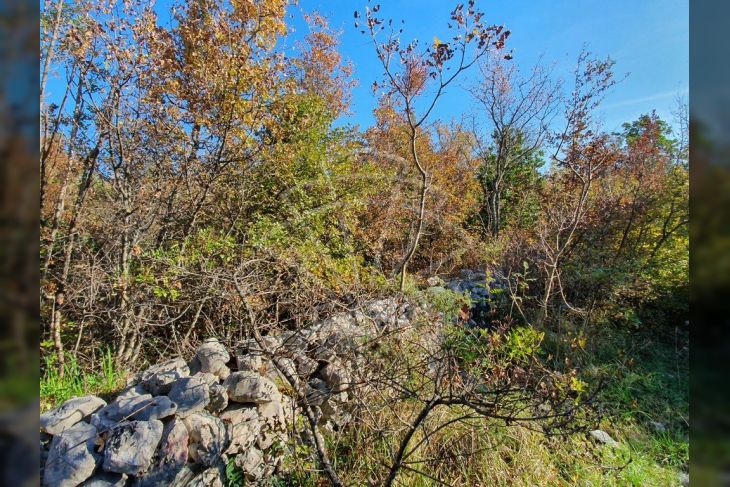 Građevinsko zemljište, Prodaja, Crikvenica, Jadranovo Građevinsko zemljište, Prodaja, Crikvenica, Jadranovo