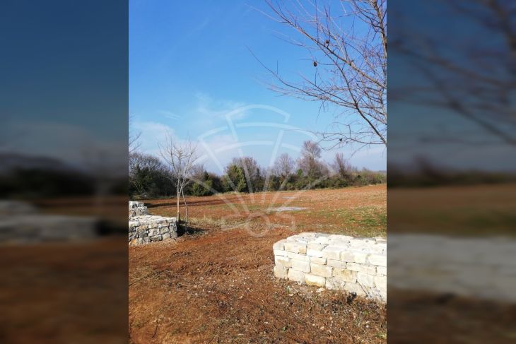 Poljoprivredno zemljište, Prodaja, Vodnjan, Vodnjan Poljoprivredno zemljište, Prodaja, Vodnjan, Vodnjan
