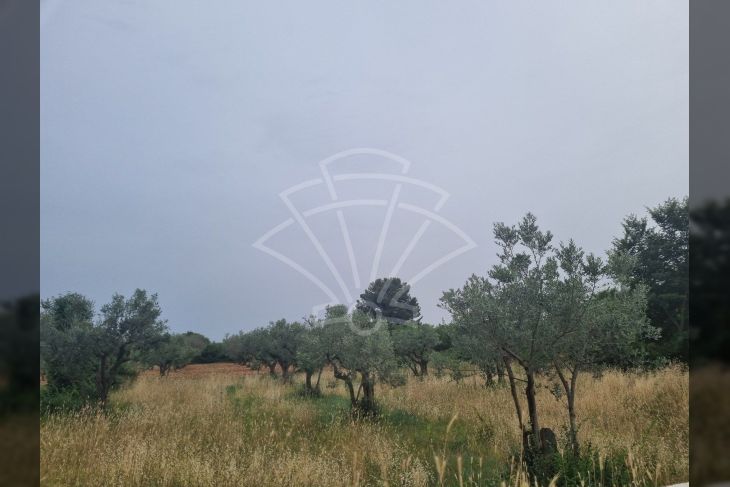 Građevinsko stambeno zemljište, Prodaja, Vodnjan, Galižana Građevinsko stambeno zemljište, Prodaja, Vodnjan, Galižana