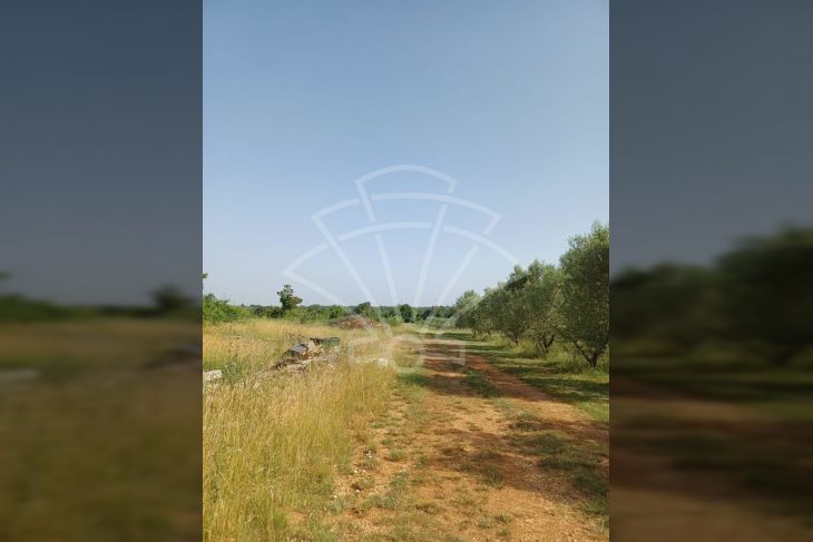 Građevinsko mješovito, Prodaja, Svetvinčenat, Smoljanci Građevinsko mješovito, Prodaja, Svetvinčenat, Smoljanci