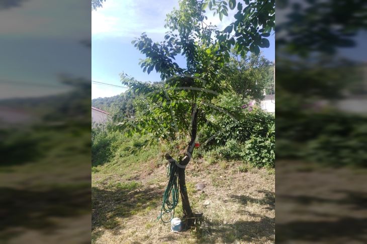 Samostojeća kuća, Prodaja, Rijeka, Istok Samostojeća kuća, Prodaja, Rijeka, Istok