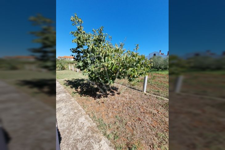 Samostojeća kuća, Prodaja, Vodnjan, Galižana Samostojeća kuća, Prodaja, Vodnjan, Galižana
