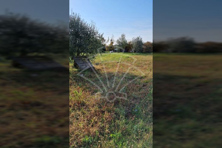 Poljoprivredno zemljište, Prodaja, Pula, Pula Poljoprivredno zemljište, Prodaja, Pula, Pula