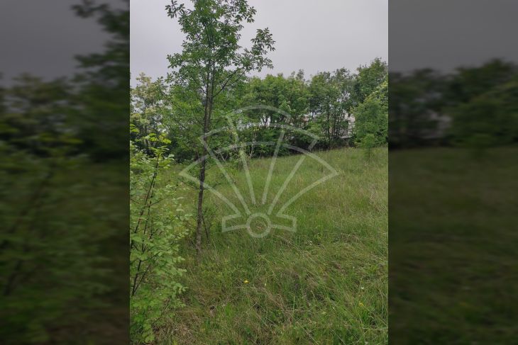 Građevinsko zemljište, Prodaja, Marčana, Rakalj Građevinsko zemljište, Prodaja, Marčana, Rakalj
