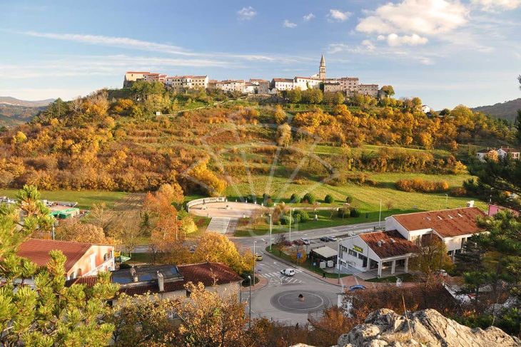 Poljoprivredno zemljište, Prodaja, Buzet, Sveti Martin Poljoprivredno zemljište, Prodaja, Buzet, Sveti Martin