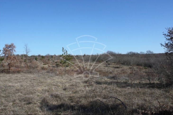 Poljoprivredno zemljište, Prodaja, Vodnjan, Vodnjan Poljoprivredno zemljište, Prodaja, Vodnjan, Vodnjan