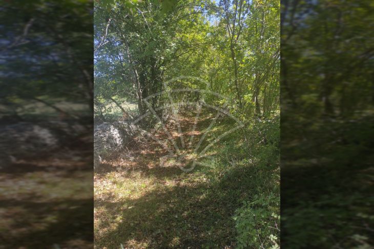 Poljoprivredno zemljište, Prodaja, Vodnjan, Vodnjan Poljoprivredno zemljište, Prodaja, Vodnjan, Vodnjan