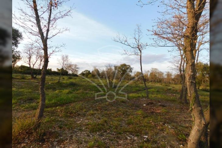 Poljoprivredno zemljište, Prodaja, Pula, Pula Poljoprivredno zemljište, Prodaja, Pula, Pula