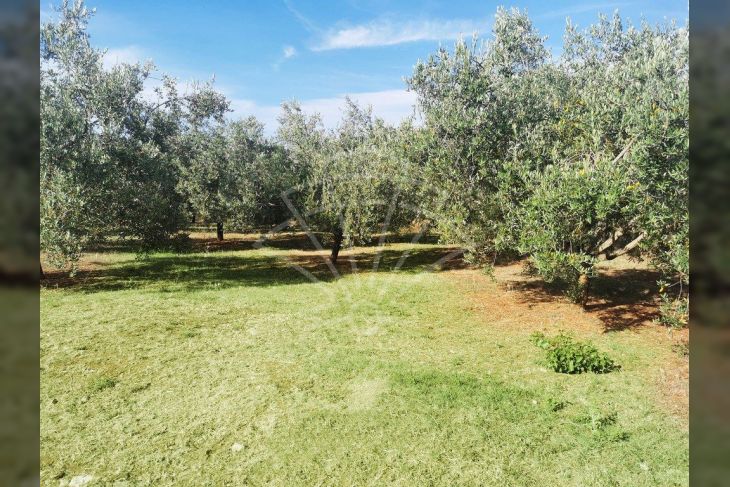 Poljoprivredno zemljište, Prodaja, Marčana, Peruški Poljoprivredno zemljište, Prodaja, Marčana, Peruški