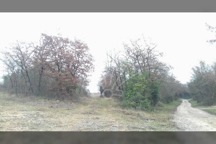 Poljoprivredno zemljište, Prodaja, Kanfanar, Šorići Poljoprivredno zemljište, Prodaja, Kanfanar, Šorići