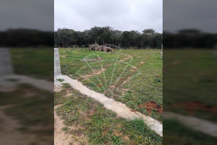 Poljoprivredno zemljište, Prodaja, Pula, Pula Poljoprivredno zemljište, Prodaja, Pula, Pula