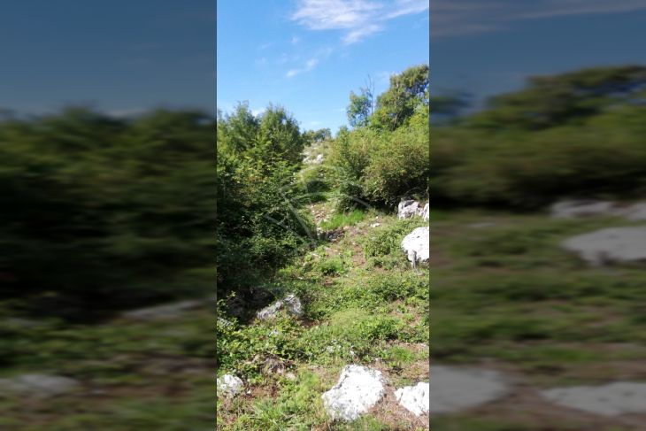 Zemljište - ostalo, Prodaja, Kanfanar, Jural Zemljište - ostalo, Prodaja, Kanfanar, Jural