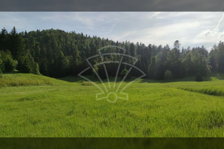 Poljoprivredno zemljište, Prodaja, Fužine, Fužine Poljoprivredno zemljište, Prodaja, Fužine, Fužine