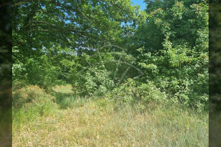 Građevinsko zemljište, Prodaja, Svetvinčenat, Režanci Građevinsko zemljište, Prodaja, Svetvinčenat, Režanci