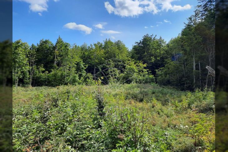 Građevinsko mješovito, Prodaja, Fužine, Lič