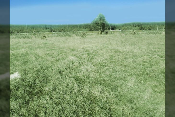 Građevinsko zemljište, Prodaja, Svetvinčenat, Bibići Građevinsko zemljište, Prodaja, Svetvinčenat, Bibići