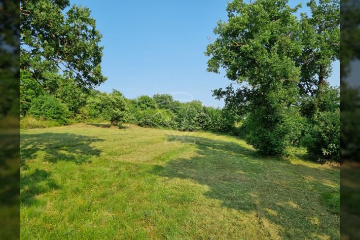 Građevinsko zemljište, Prodaja, Barban, Manjadvorci