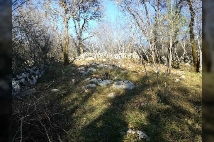 Šuma, Prodaja, Dobrinj, Gabonjin Šuma, Prodaja, Dobrinj, Gabonjin